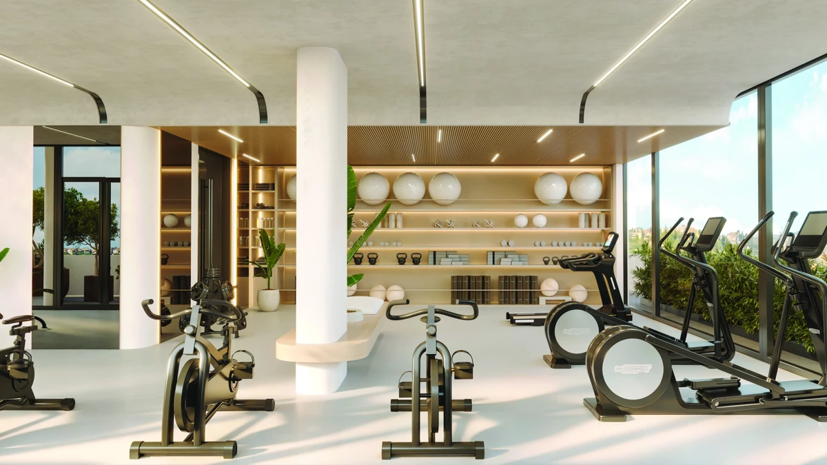 Gate Eleven — Gym